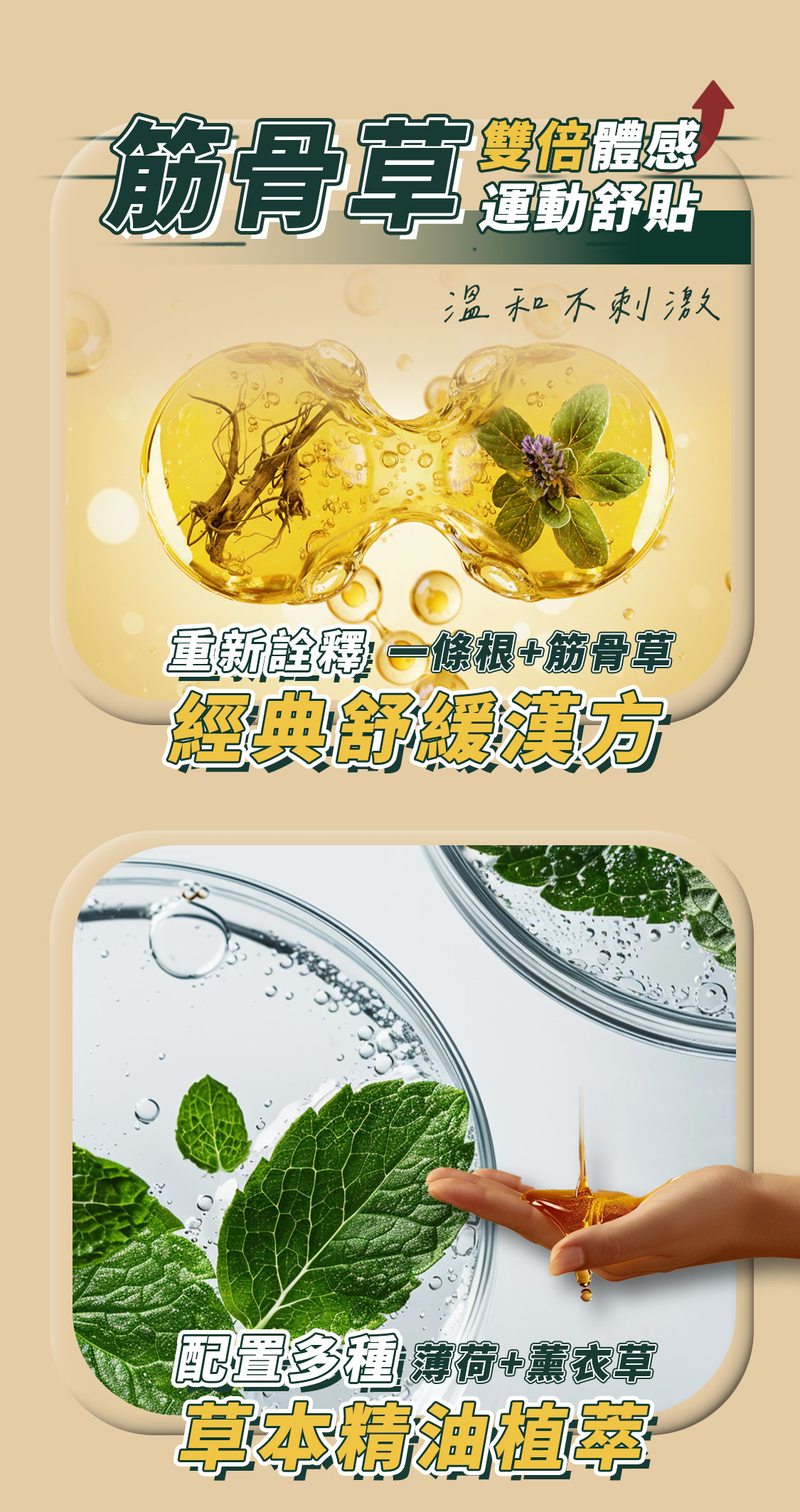 一條根、筋骨草漢方草本精油