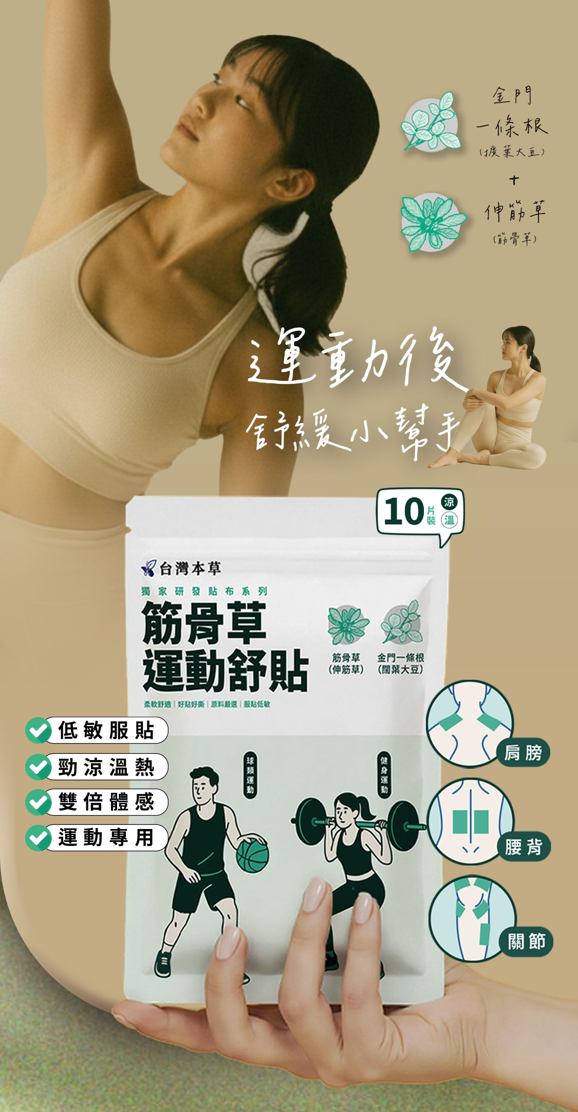 筋骨草運動舒貼